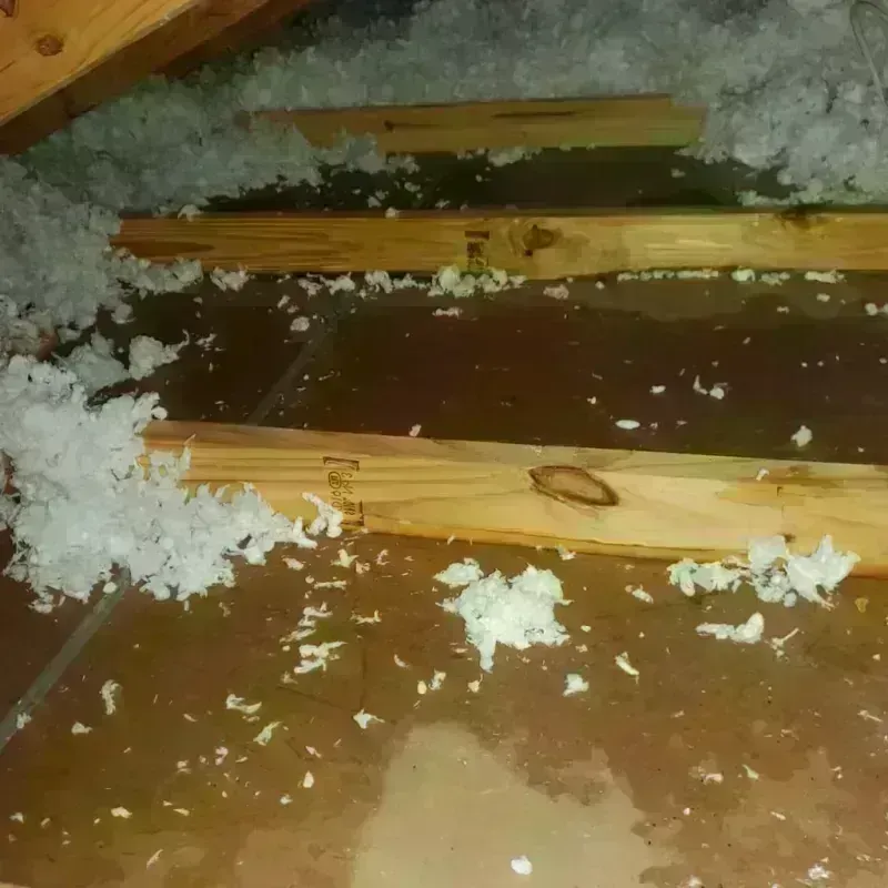 Attic Water Damage in Norton Center, MA